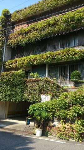 植物がいっぱいの建物が当店です